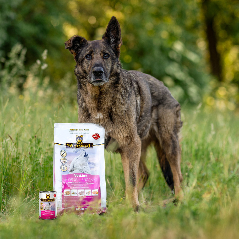 Hund, Hundefutter, Trockenfutter, Allergenarm, Outdoor/Grasland
